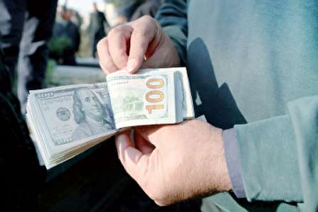 برخي اقتصاددان نماها بر طبل گراني دلار مي‌كوبند