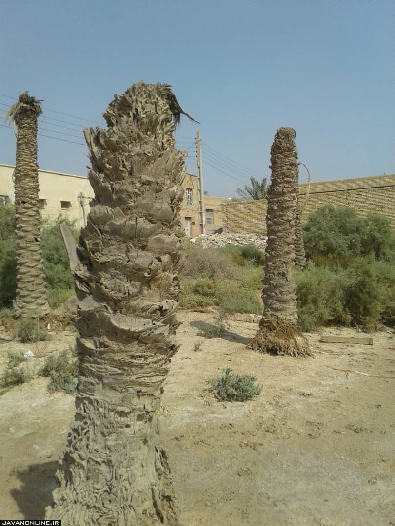 خونین شهری که هنوز خرمشهر نشده است+ تصویر خونین شهری که هنوز خرمشهر نشده است+ تصویر