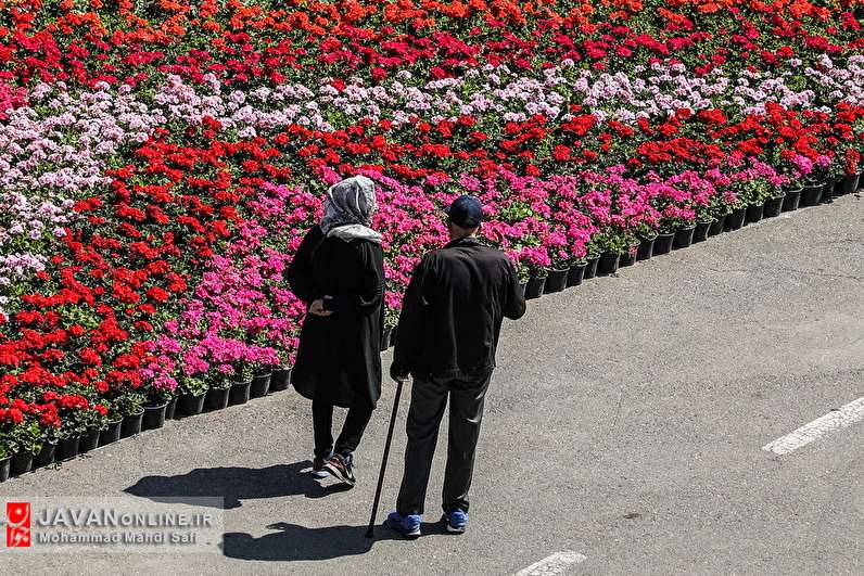 هفدهمین نمایشگاه گل و گیاه تهران