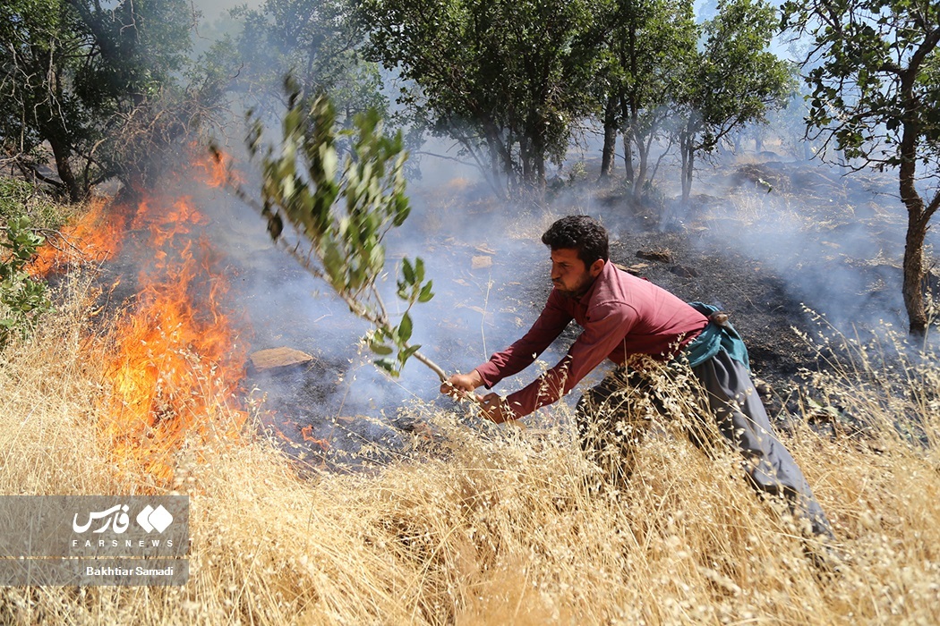 تداوم آتش‌سوزی جنگل‌های مریوان برای سومین روز متوالی