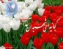يادواره شهداي دانش آموز برگزار شد