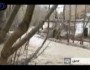 فيلم | جاری شدن سیل در اردبیل