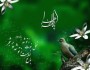 شخصیت زهرا را دست نیافتنی نشان دادن، ظلم به حقانیت اوست