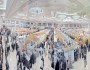 درياي كتاب ايران در چشم مدعيان «چشمه»