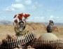 همایش بزرگ فتح‌الفتوح جنگ تحميلي