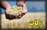 اجرای پروژه‌های عام‌المنفعه درمیبد از محل زکات