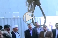 لحظه بخشش قاتل پای چوبه دار!