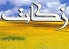 پرداخت بیش از 5 میلیارد ریال زکات مستحبی به مساجد استان یزد