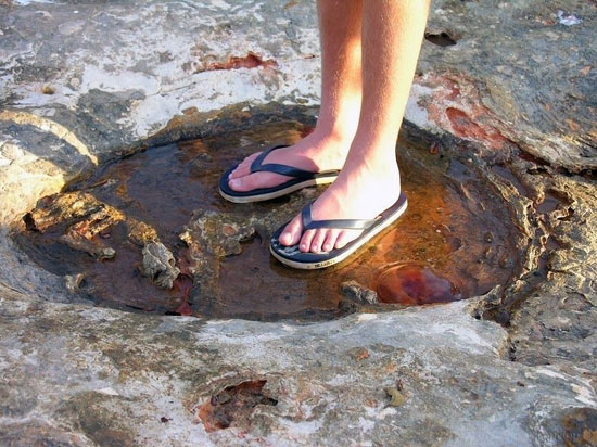 ردپای واقعی دایناسورها
