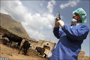 تب مالت در لرستان به مرز بحران رسید