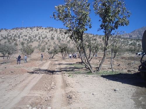 برگزاری نشست مشترک مدیران منابع طبیعی ۱۲ استان کشور در ایلام برگزاری نشست مشترک مدیران منابع طبیعی ۱۲ استان کشور در ایلام