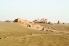 دشت سجزی نیازمند دستی نوازشگر