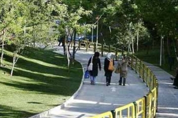 احداث 440 بوستان روستایی در استان بوشهر