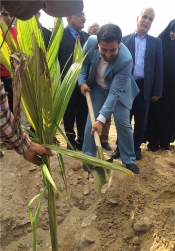 نخستین‌بار اقدام به کاشت درخت نارگیل در پلاژ بوشهر