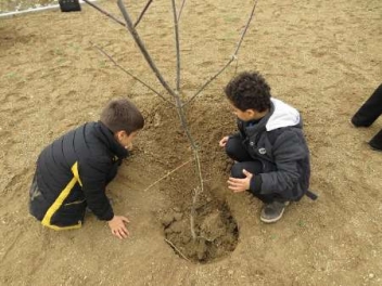 دانش آموزان مریوانی به نام خود نهال کاشتند