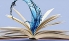 کتاب «وات َواتَ» در مهدی‌شهر رونمایی شد