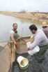 رهاسازی بیش از 70میلیون قطعه بچه ماهی سفید در رودخانه های شیلاتی مازندران