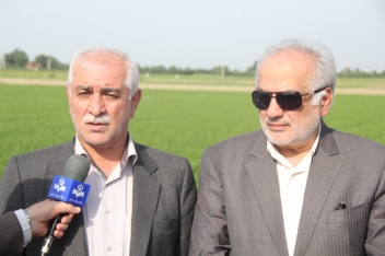 100 هزار هکتار از شالیزارهای مازندران نیاز به تجهیز و نوسازی دارد