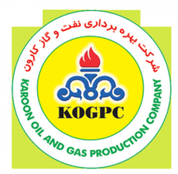 بازديد كارشناسان HSE شركت كارون از پتروشيمي فجر