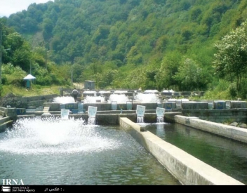 فعالیت 35 واحد تولید آبزیان در بیجار