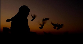 شبکه مستند با «ریشه در خویش»، از مهاجران افغان می گوید