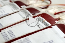 روايتی ديگر از خون های آلوده فرانسوی