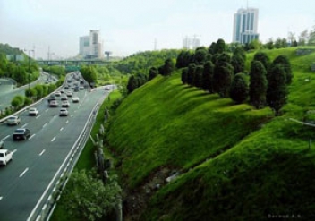 50 درصد فضای سبز سنندج از آب شرب شهر تامین می شود