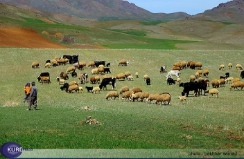 176 مورد رفع تصرف اراضی ملی از سودجویان و متصرفان  در دهگلان