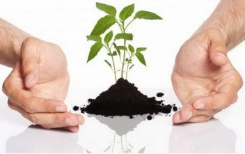 50 درصد فضای سبز کاشان به سیستم آبیاری تحت فشار مجهز شده است