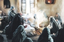 «محمد رسول الله(ص)» سينماهاي كانادا را به سانس فوق‌العاده كشاند