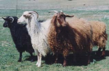 پیشبرد پژوهش های ایستگاه 