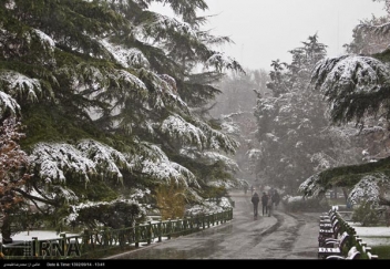 بارش نخستین برف زمستانی در بیجار