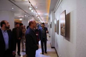 توجه به مسائل زنان از اولویت های دولت تدبیر و امید است