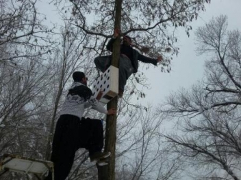 مردم سقز برای پرندگان دانه ریختند و لانه ساختند