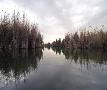 مدیریت زیست محیطی تالاب زریبار باید عملی گردد