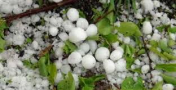 خسارت 39 میلیارد ریالی باغات مریوان