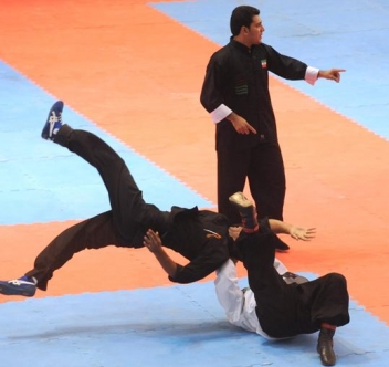 فعالیت 4000 کونگ فو کار ساماندهی شده در کردستان