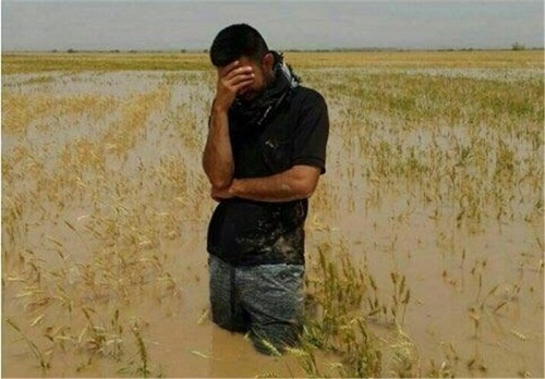 نابودي منابع ملي بخاطر نبود الگوي کشت نابودي منابع ملي بخاطر نبود الگوي کشت
