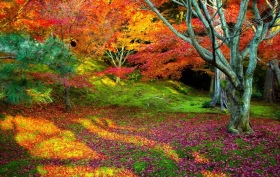 خودخواهی ابزاری برای بقا در طبیعت