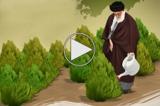 هر ایرانی یک درخت