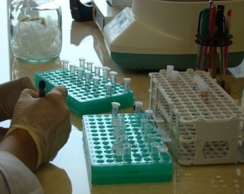 ذخیره سازی 700 نمونه خون بندناف نوزادان کردستانی در مرکز رویان