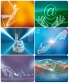 فراهم‌سازی جهش جدی اقتصادی در لارستان