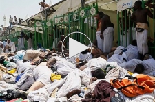 نماهنگ «قربانی منا»