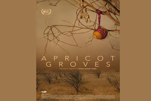 رونمایی از اولین پوستر فیلم سینمایی «باغ های زردآلو»