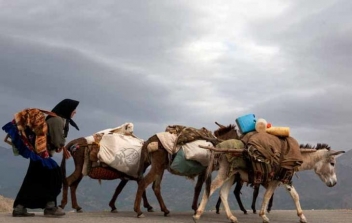 آغاز کوچ عشایر در استان هرمزگان