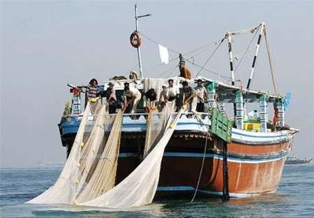 اشتغال 50 نفر در فعالیت های شیلاتی بندرعباس