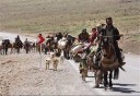 بیمه دوهزار و 683 خانوار روستایی و عشایری در خراسان شمالی