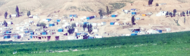 سريع مثل کوييک! سريع مثل کوييک!