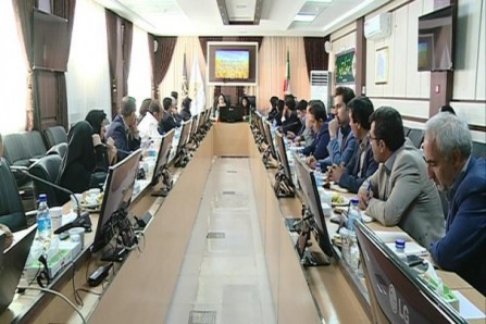 فعالیت هزار و 500 صندوق خرد کارآفرینی روستایی در کشور