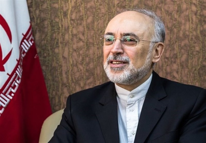 صالحی: ایران به برجام پایبند می‌ماند حتی اگر آمریکا خارج شود
